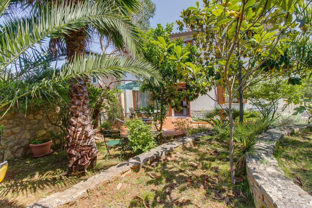 וולי לוסיניי Villa Alma מראה חיצוני תמונה